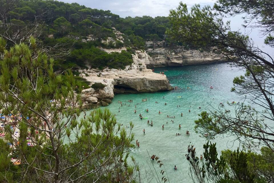 A coastal area with clear turquoise waters, rocky cliffs, and dense pine trees.