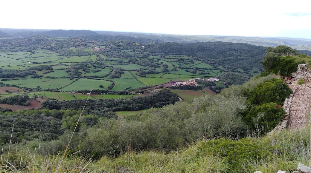 This is a photography of a Site of Community Importance in Spain with the ID: