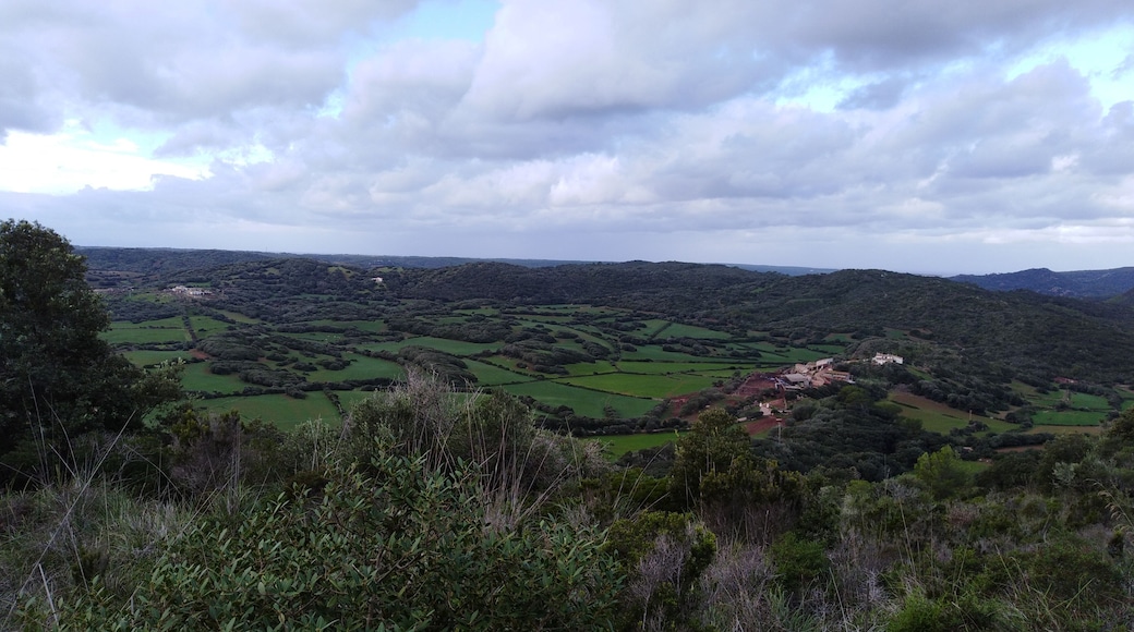 This is a photography of a Site of Community Importance in Spain with the ID: