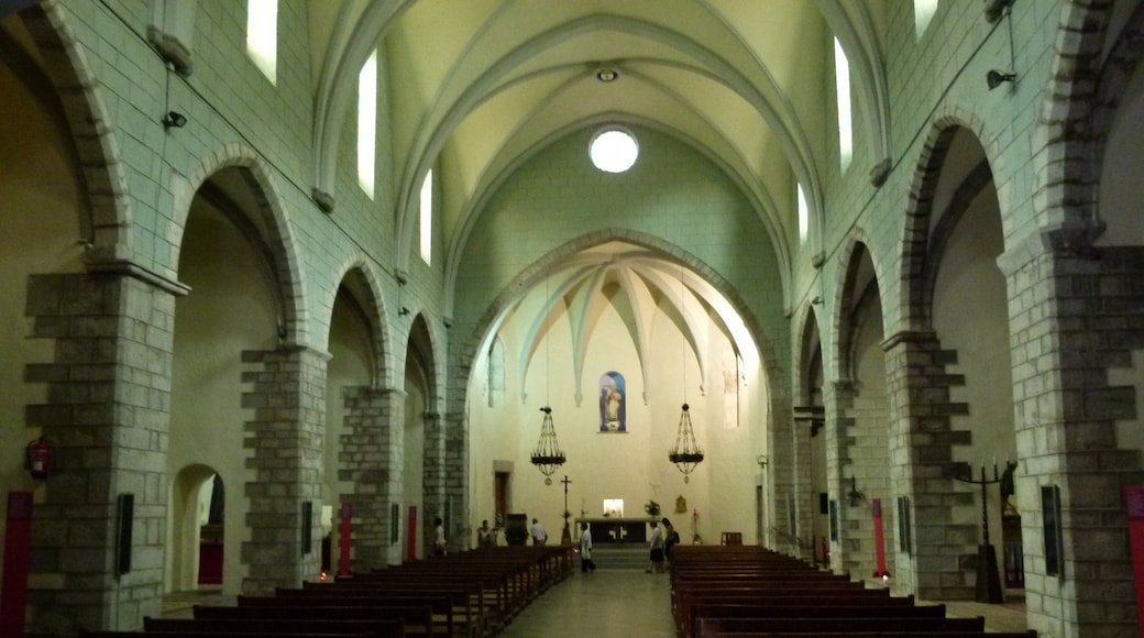 Església del Carme (Camprodon)