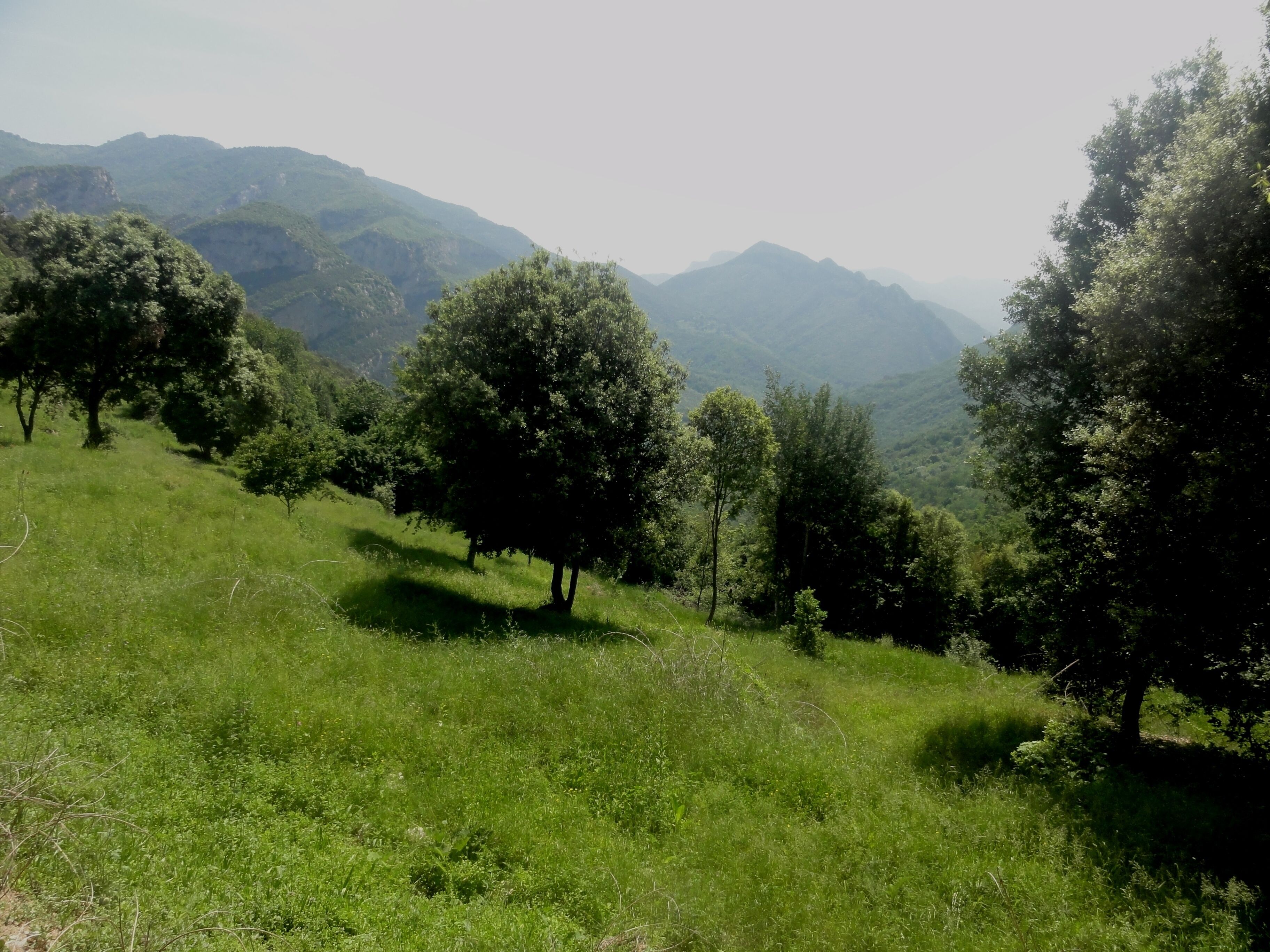 This is a a photo of a natural area in Catalonia, Spain, with id: