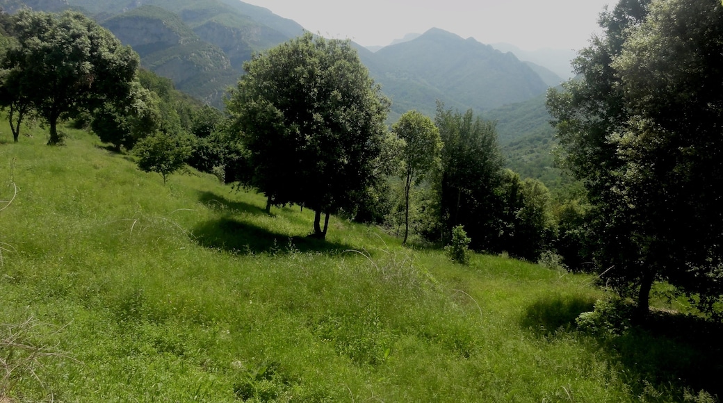 This is a a photo of a natural area in Catalonia, Spain, with id: