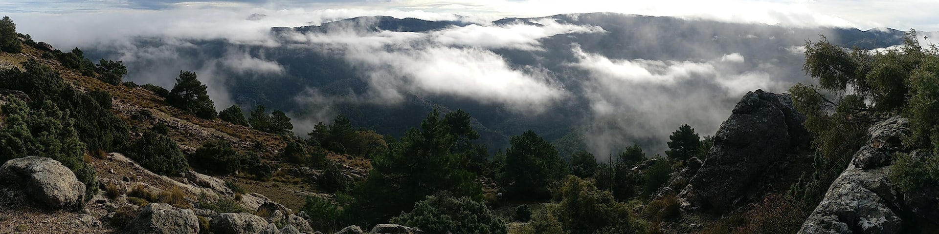 We went hiking from Parador Nacional to "Las Lagunillas", a flat area below Gilillo Peak. From that point we enjoy the view of the whole valley inside Cazorla Natural Park. Clouds were very low.
