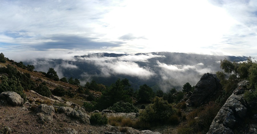 We went hiking from Parador Nacional to "Las Lagunillas", a flat area below Gilillo Peak. From that point we enjoy the view of the whole valley inside Cazorla Natural Park. Clouds were very low.