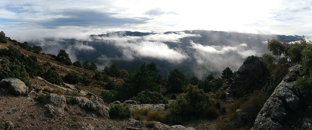 A mountainous landscape with rocky terrain, dense forests, and clouds covering the peaks.