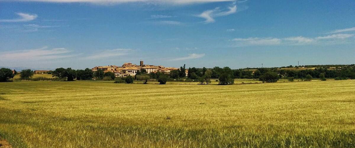 A rural landscape with a large field of crops, a cluster of buildings with red-tiled roofs, and a clear blue sky.