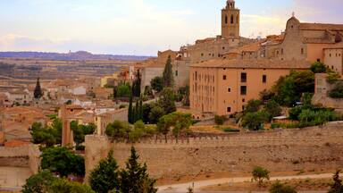 A historic town with a prominent church tower, cobblestone streets, and surrounding greenery.