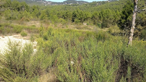 This image was uploaded as part of Wiki Loves Monuments 2011.