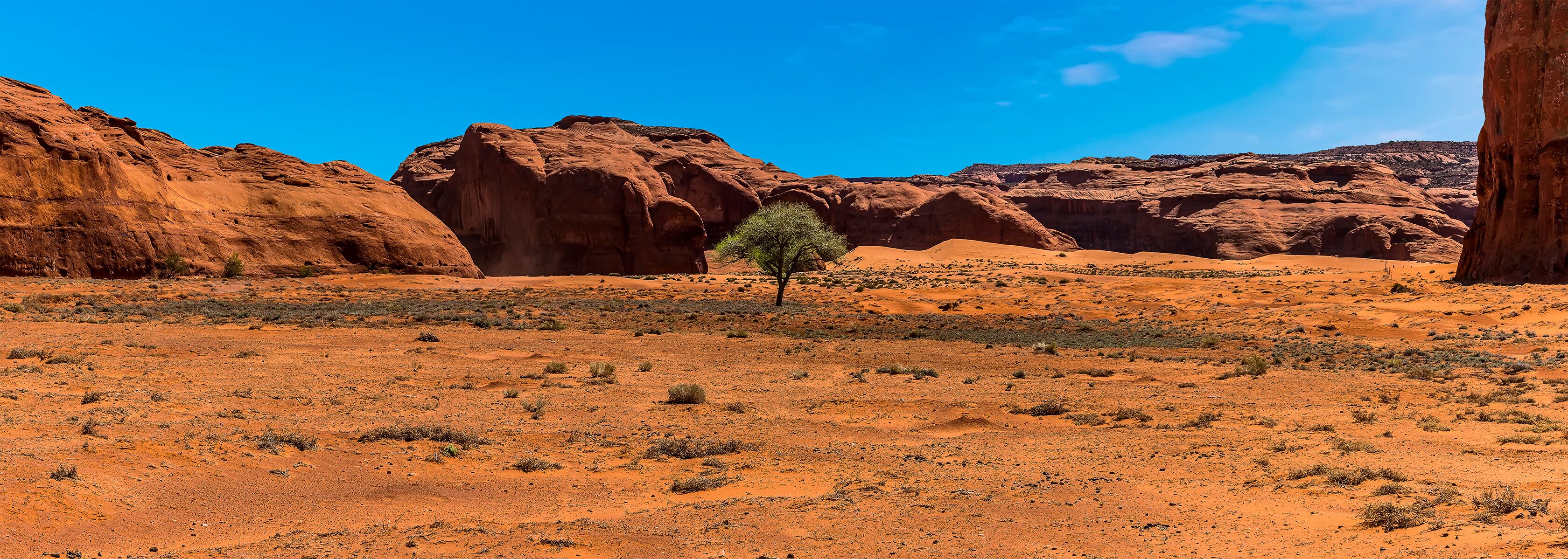 A desert landscape with red rock formations and sparse vegetation.