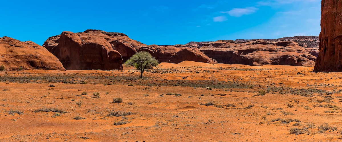A desert landscape with red rock formations and sparse vegetation.