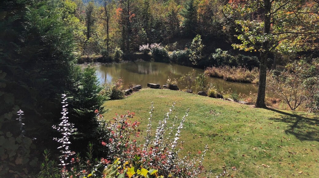 This photo was taken just inside the Tennessee border. I had been staying at a cabin with my roommate and her family. We arrived at night at a time when I could not see the pond. When I woke up the next morning, we went outside and I was in awe of the beauty. It was bright, vibrant, and perfectly picturesque. The cabin we stayed in was hard to get to; it was on a one way gravel road up the side of a mountain. It is seemingly untouched, yet if I had turned the camera around, the viewer would notice power lines running up the side of the mountain. This picture seems to preserve the idea that Appalachia has not been touched by humans. #appalachianechoes