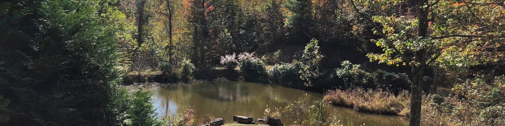 This photo was taken just inside the Tennessee border. I had been staying at a cabin with my roommate and her family. We arrived at night at a time when I could not see the pond. When I woke up the next morning, we went outside and I was in awe of the beauty. It was bright, vibrant, and perfectly picturesque. The cabin we stayed in was hard to get to; it was on a one way gravel road up the side of a mountain. It is seemingly untouched, yet if I had turned the camera around, the viewer would notice power lines running up the side of the mountain. This picture seems to preserve the idea that Appalachia has not been touched by humans. #appalachianechoes