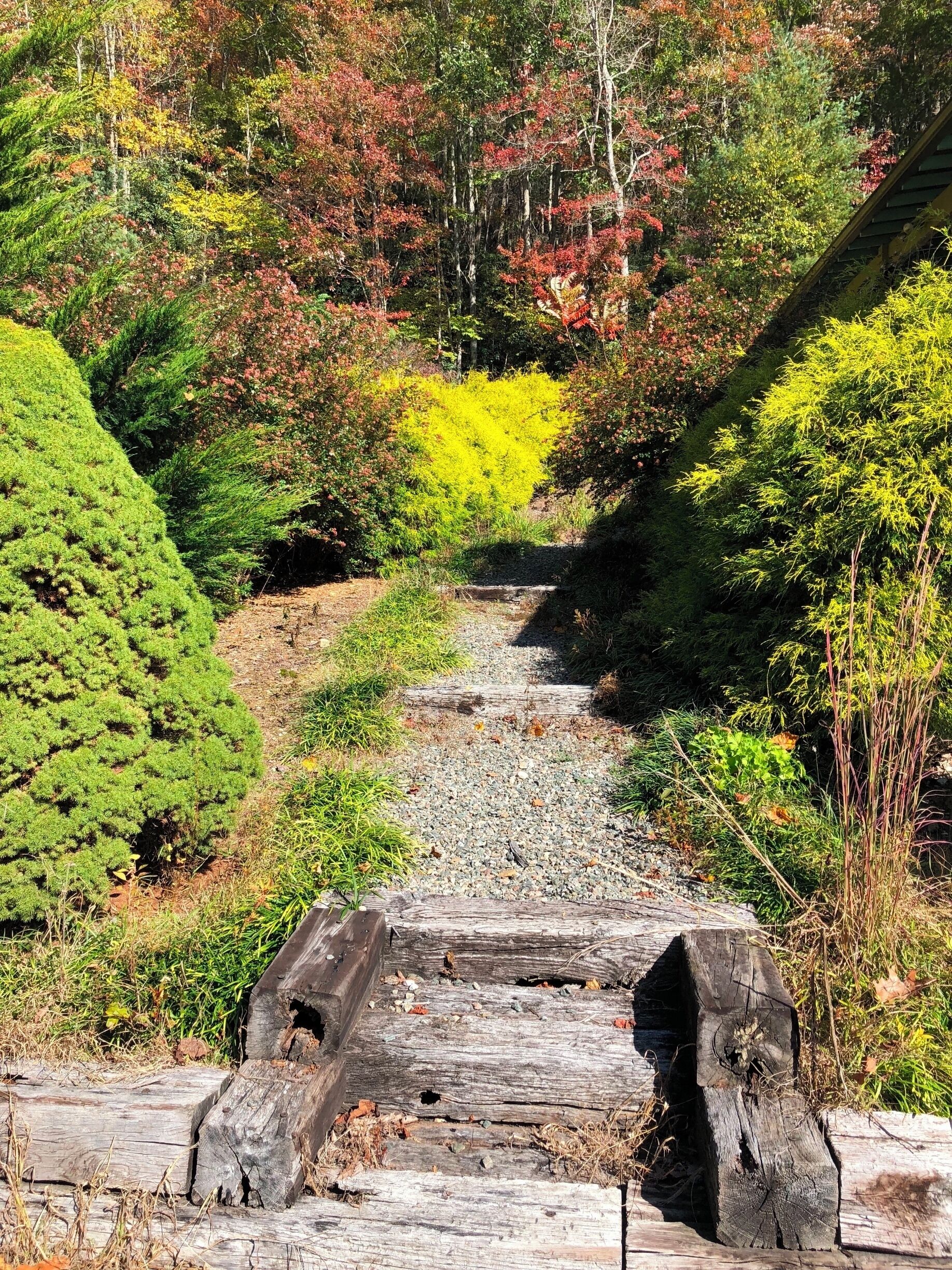 This picture was taken inside the Tennessee border as well. It possesses many of the qualities that are present in the people of Appalachia. The walkway leading up around the corner seems to entice the viewer, it seems to say "follow me!" So many people associate the idea of travelling or journey with this region. It could be because of the Blue Ridge Parkway, hiking trails, or the seemingly endless sprawl of the mountains themselves. A part of the house is visible in the top right of the picture which is challenging the idea of "pure, untouched" land that many seem to associate with Appalachia. #AppalachianEchoes