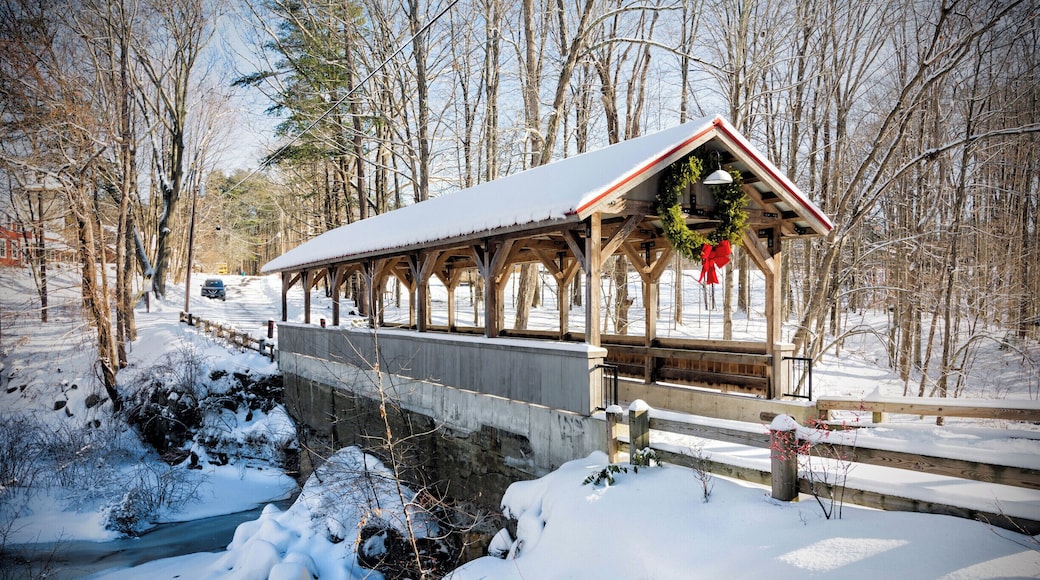 Old Stage Road Bridge straddles the Taylor River between Hampton Falls and Hampton, New Hampshire. Each town owns one half of the bridge, which connects two large conservation open spaces, Applecrest Orchards in Hampton Falls and the Hurd Dairy Farm in Hampton. A dam and waterfall grace the site.