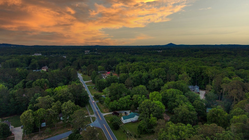 A rural landscape with a road, houses, and dense forest.