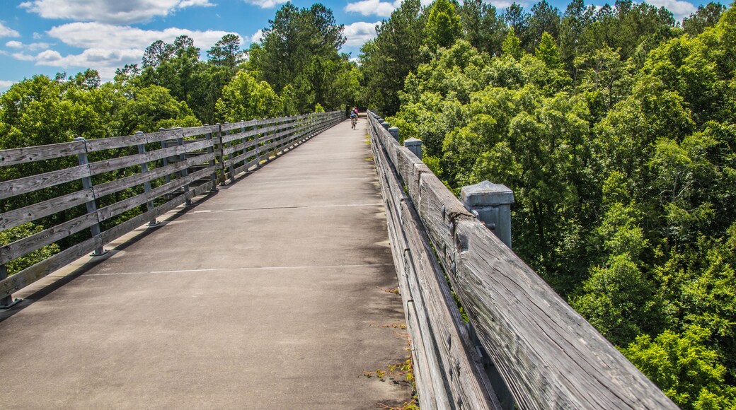 Nature along a 65 mile paved walking and hiking trail in north Georgia Silver Comet Trail