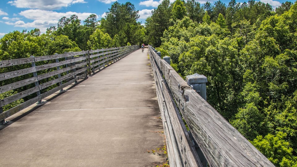 A wooden bridge with a concrete path surrounded by dense green foliage.