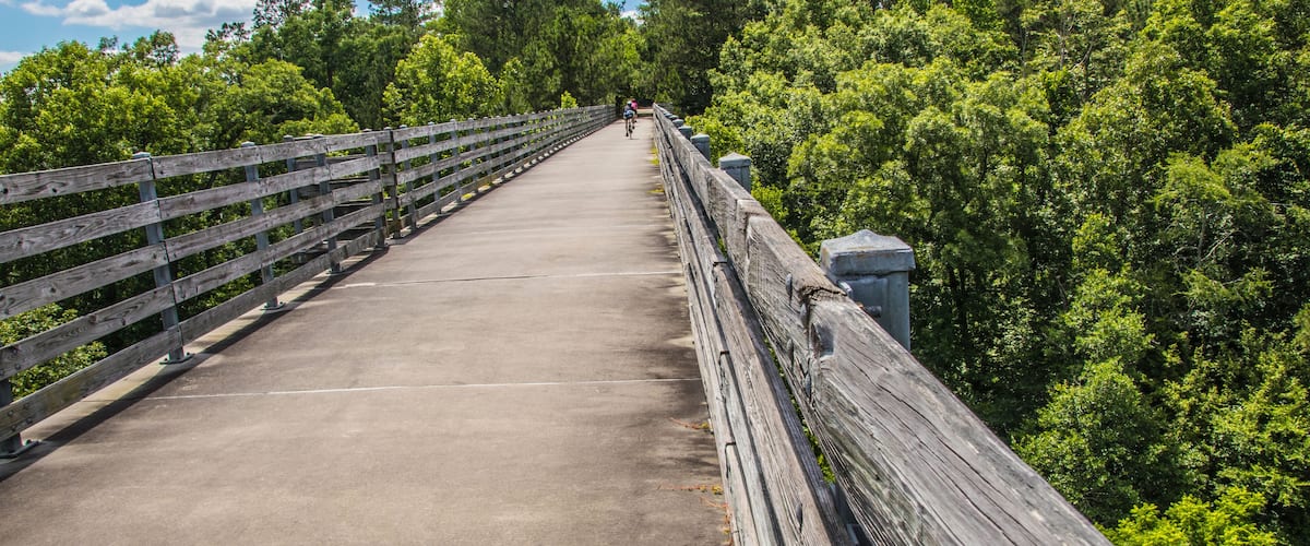 Nature along a 65 mile paved walking and hiking trail in north Georgia Silver Comet Trail