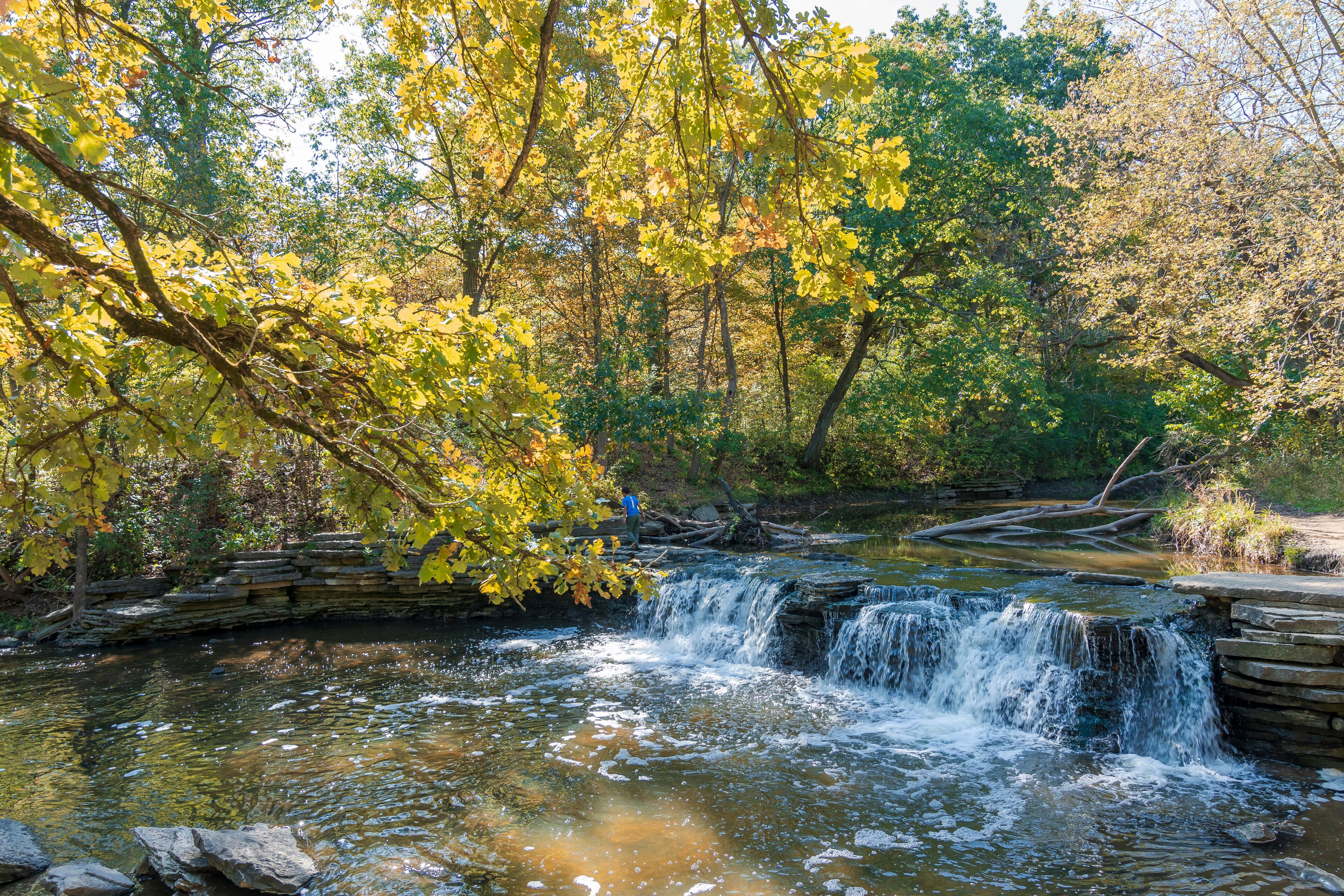 Waterfall Glen Forest Preserve view in Illinois