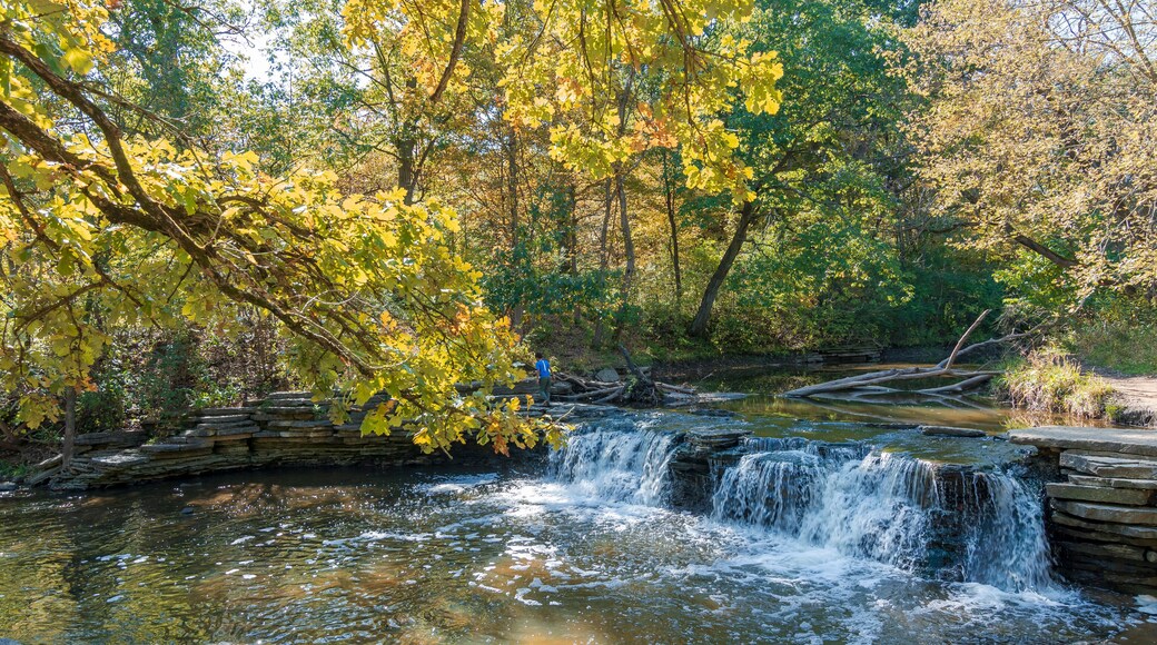 Waterfall Glen Forest Preserve view in Illinois