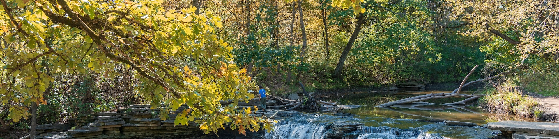 Waterfall Glen Forest Preserve view in Illinois