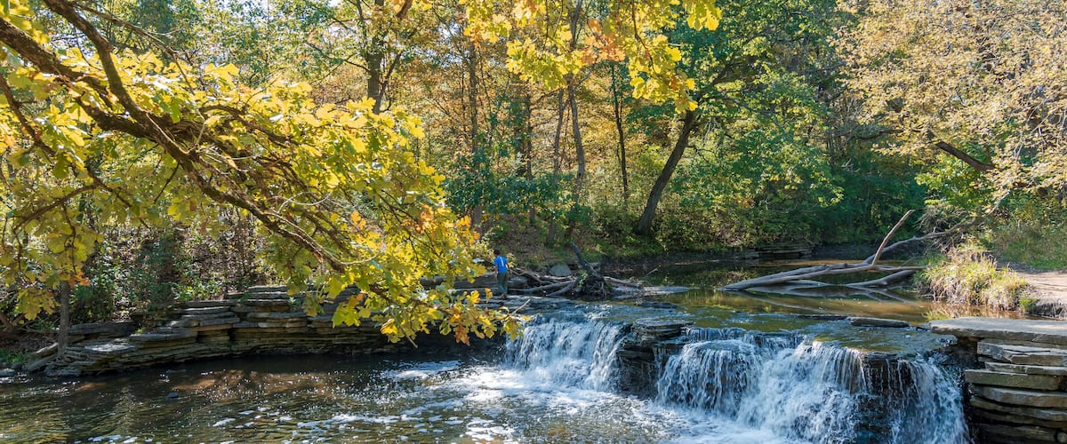 A waterfall in a forest with autumn leaves.