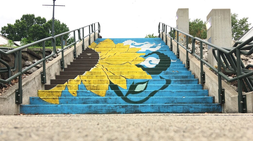 Stares at the riverfront.