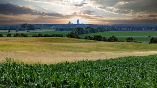 Des Moines skyline visible across farm fields in rural Iowa at sunrise.
