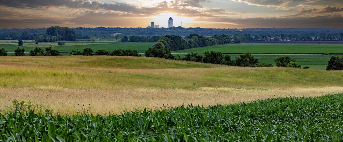 A rural landscape with fields, a distant city skyline, and a cloudy sky.