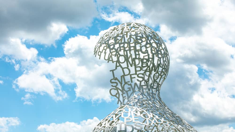 Head in the Clouds