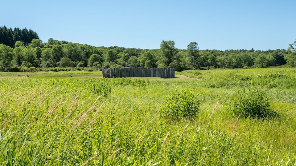 A field with tall grass and a wooden fence in the distance.