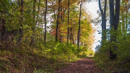 Fort Necessity National Battlefield in Farmington, Pennsylvania