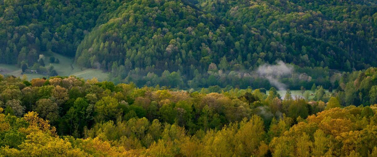 A mountainous landscape with dense forests and a visible river.