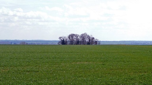 Copse south of Edworth Road View south over cereal-growing land.