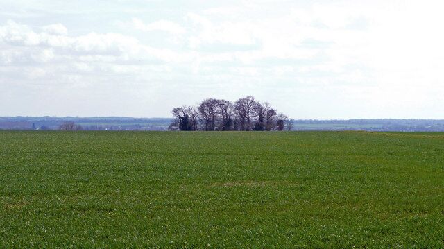 A vast green field with a cluster of leafless trees in the distance.