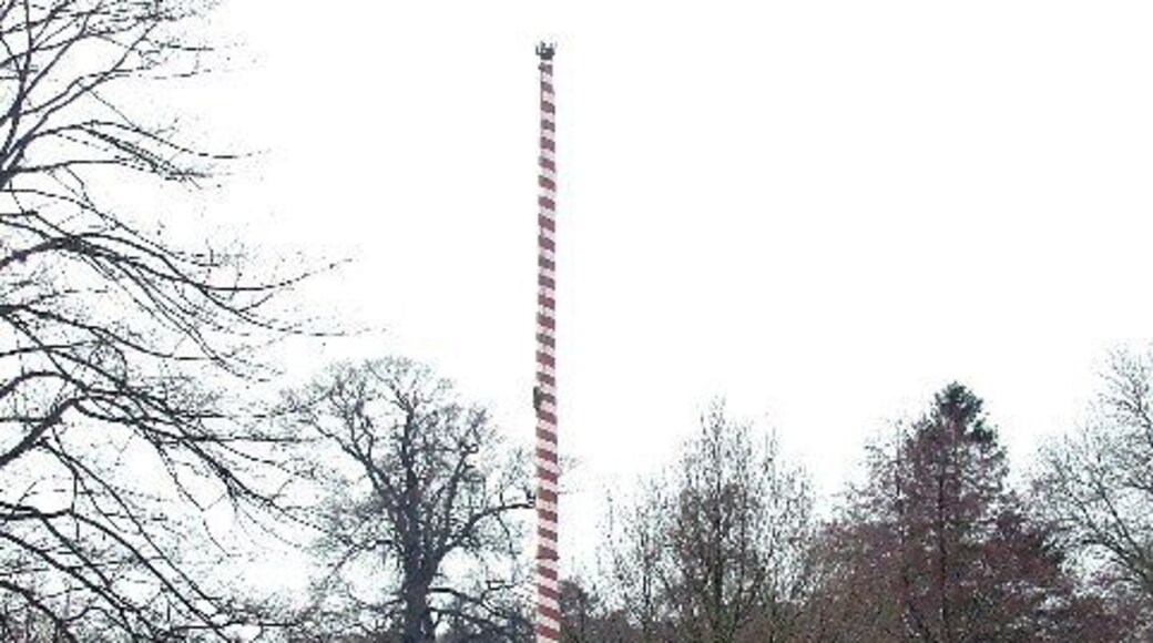 Maypole on Ickwell village green. Large, sturdy and apparently permanent.