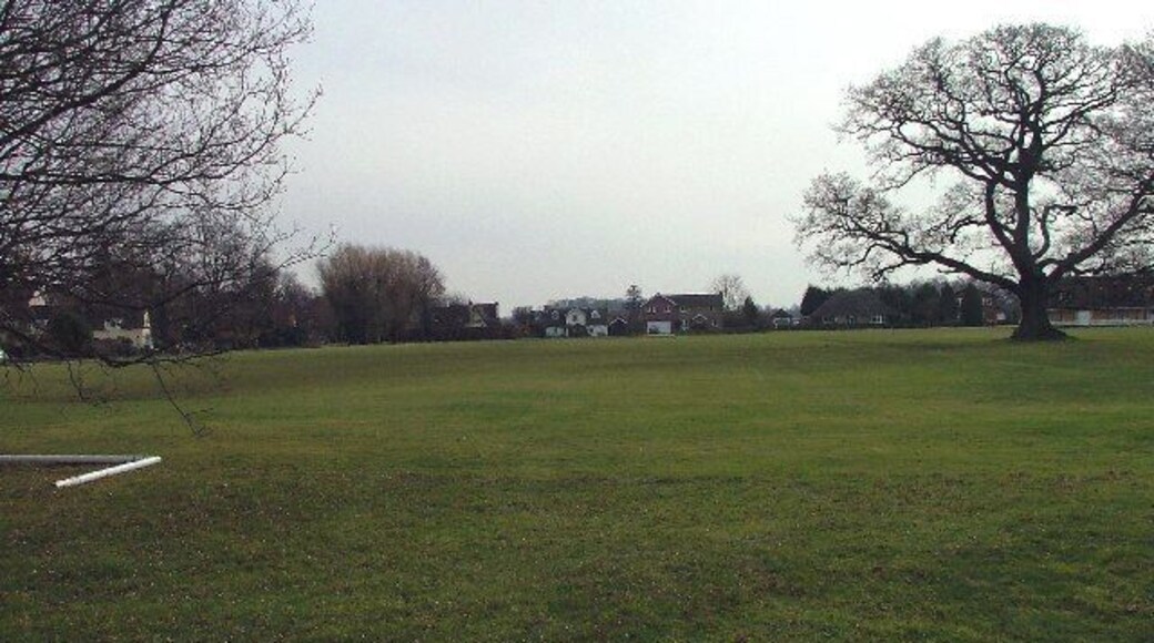 Ickwell Village Green. This is a large village green and this area is home to the village football team (actually the pub is probably "home").
