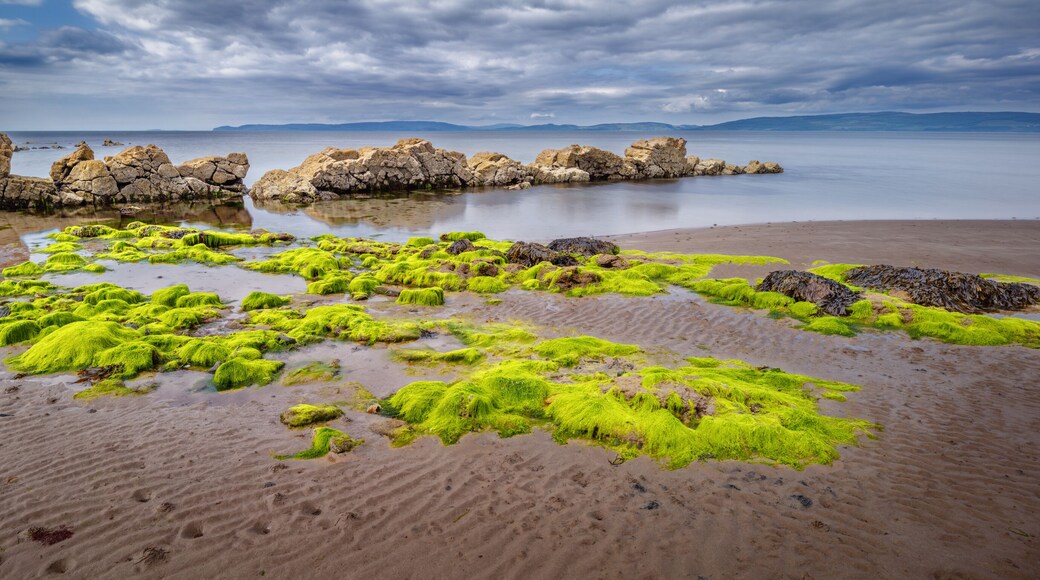 Panoramic view of beach with seaweed and rocks at the west coast of the isle of Arran in Scotland