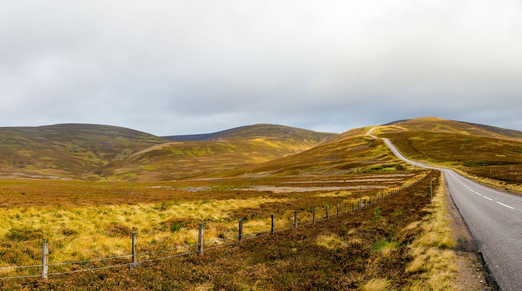 Une route sinueuse traverse un paysage vallonné où la végétation est clairsemée et le ciel est nuageux.