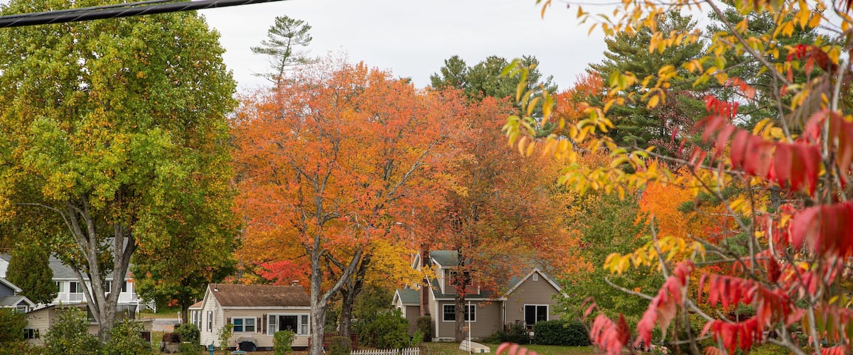 Windham Hotel Guide