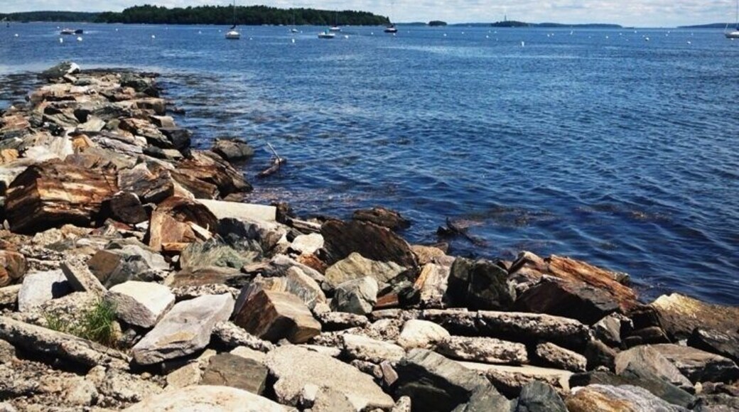 sunny morning in Portland