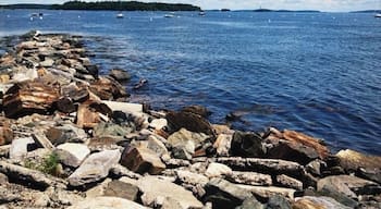 sunny morning in Portland