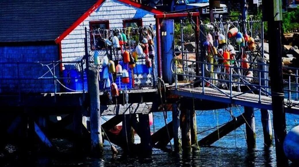Lobster Fishermen use this ward to unload their catch.