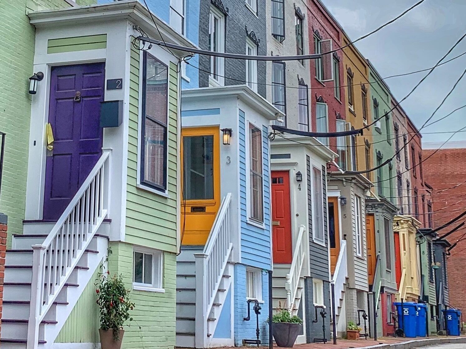 What a colorful combination!
Nice!