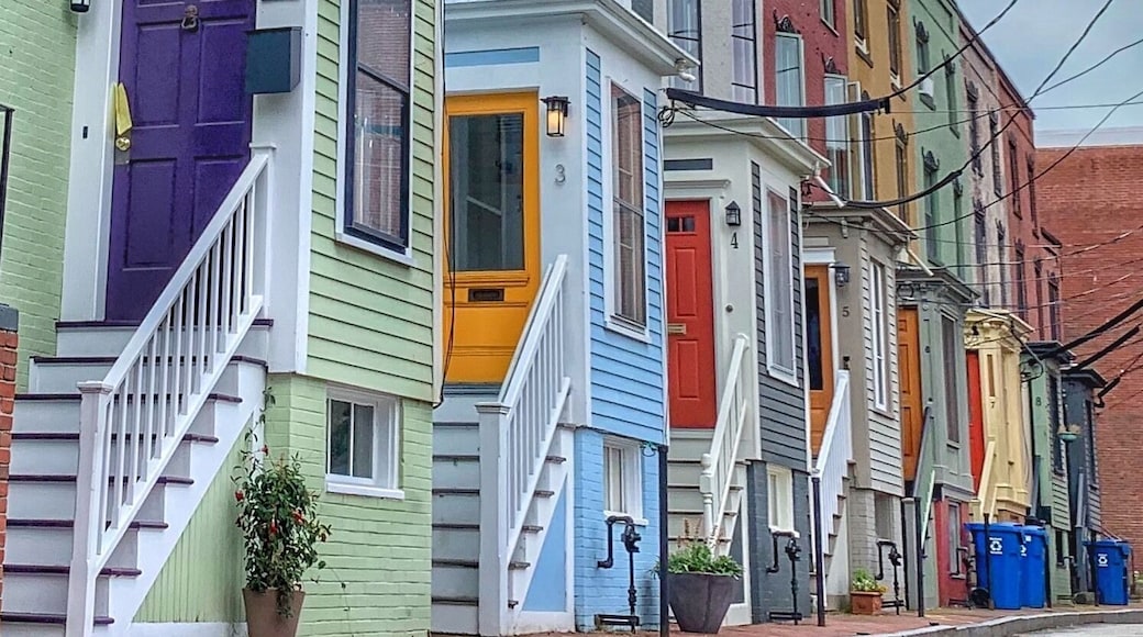 What a colorful combination!
Nice!