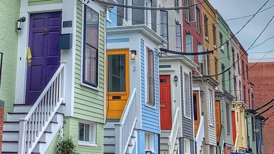 What a colorful combination!
Nice!