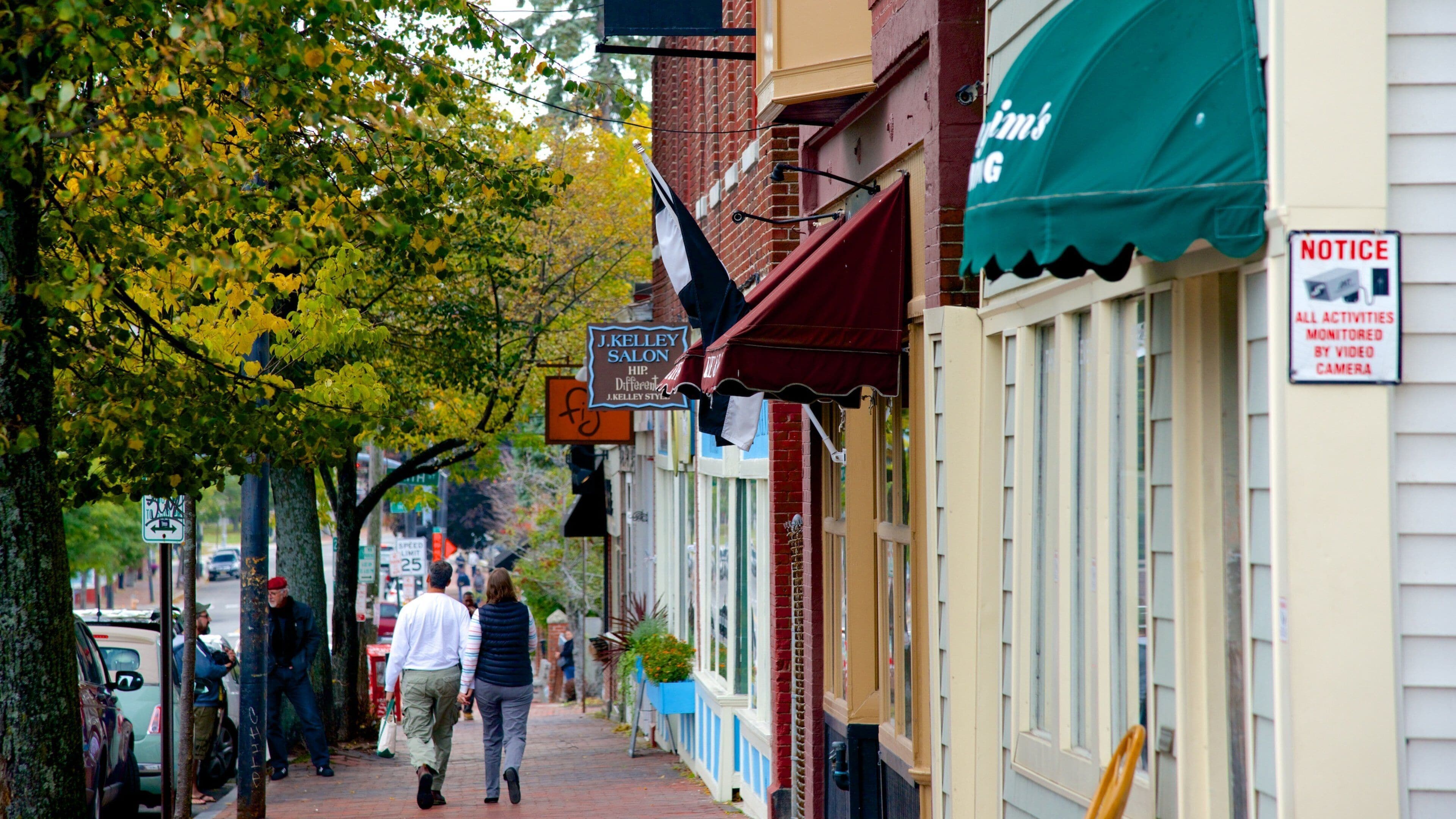 A tree-lined sidewalk with pedestrians, storefronts, and a 'NOTICE' sign indicating video surveillance.