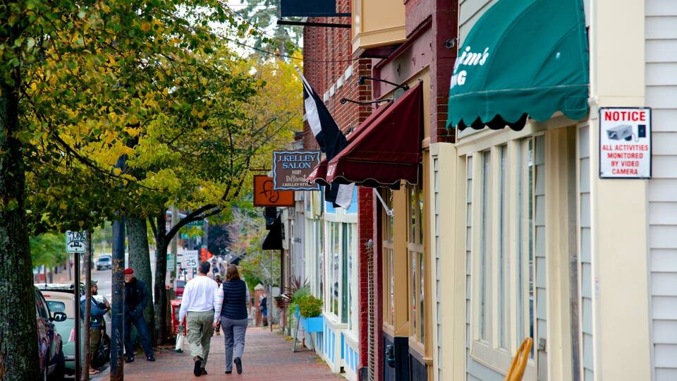A tree-lined sidewalk with pedestrians, storefronts, and a 'NOTICE' sign indicating video surveillance.