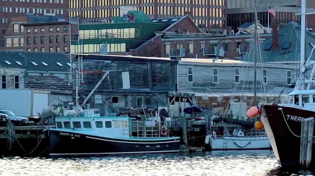 Schooner Cruise in Portland, ME. Looking at the docks.