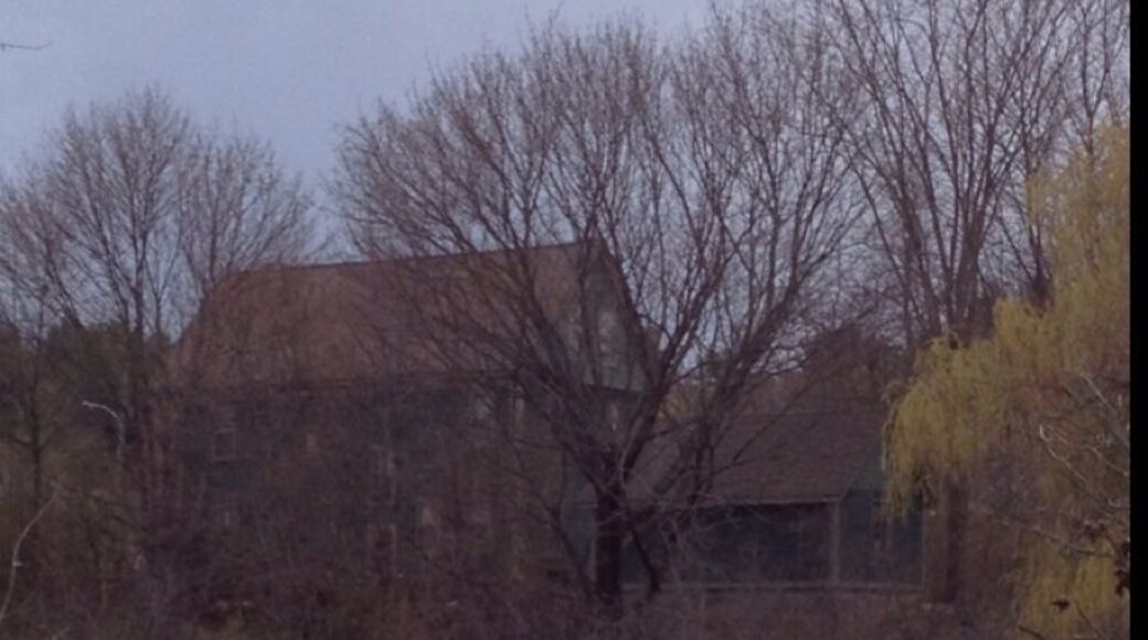 Hidden mansions hide behind the trees all through Maine, and such history.